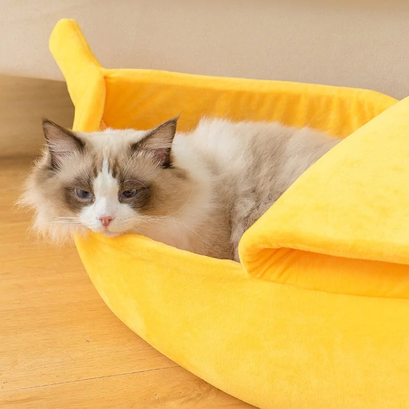 Banana Shaped Bed House