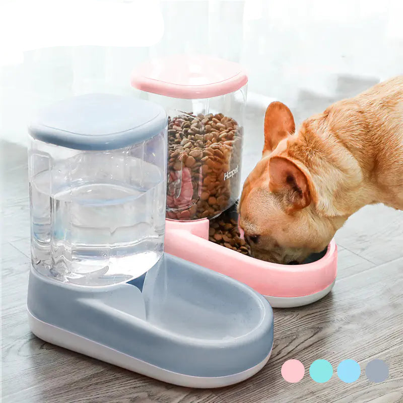 Water Dispenser and Feeding Bowl
