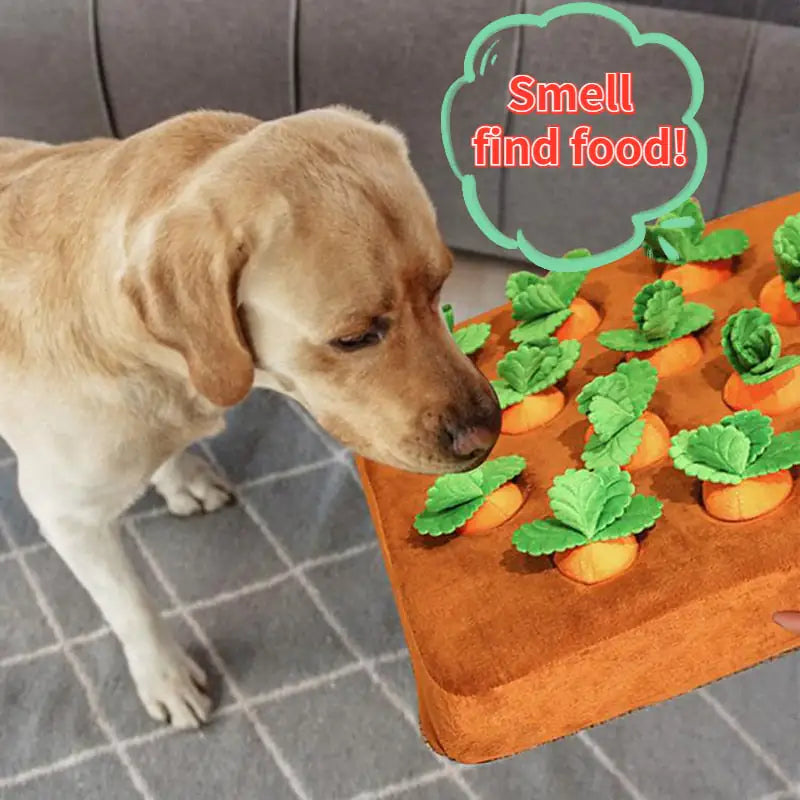 Safe Vegetable Chew Toy