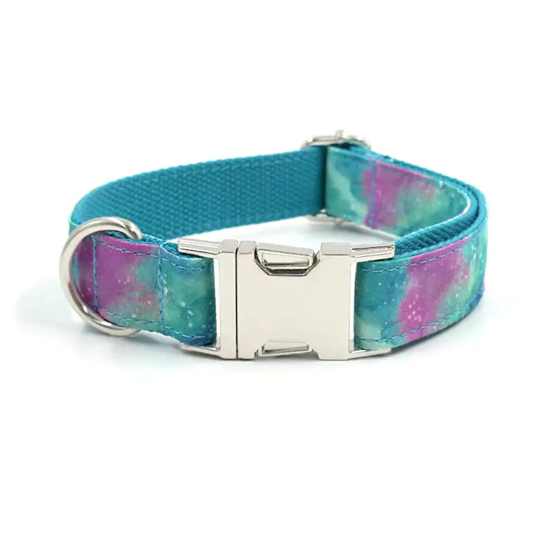 Durable Collar with Traction Belt
