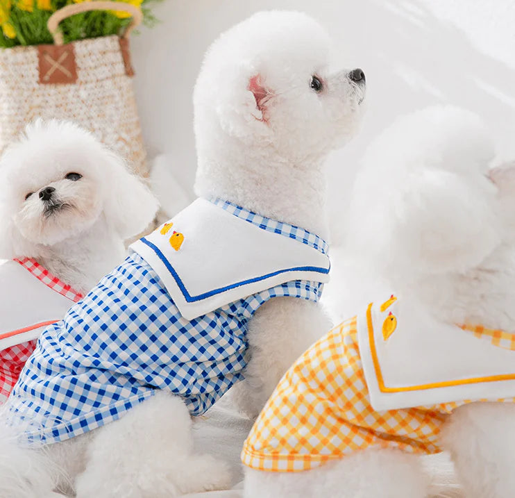 Comfortable Shirts for Small and Medium