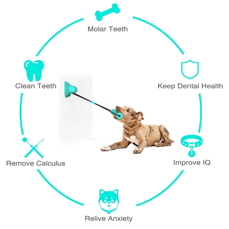 Chew Toothbrush Toy