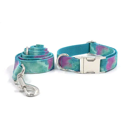 Durable Collar with Traction Belt