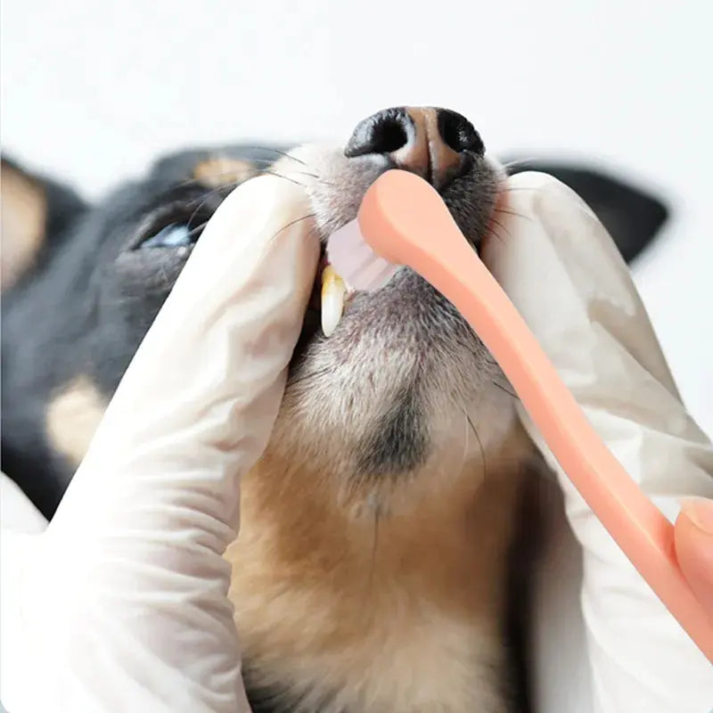 Gentle Grooming Toothbrush