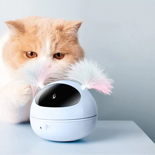 Rotating Laser Feather Toy