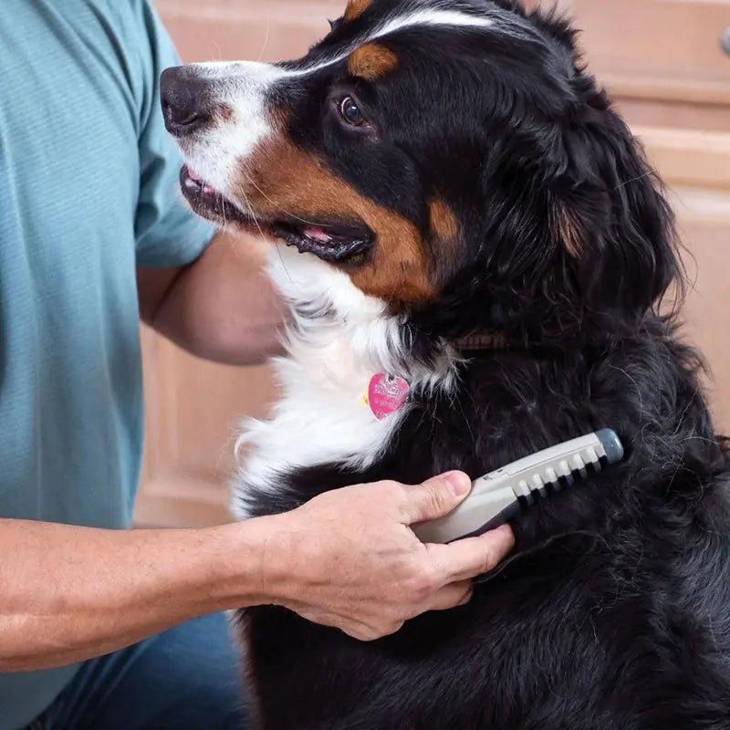 Grooming Comb – Tangle Removal