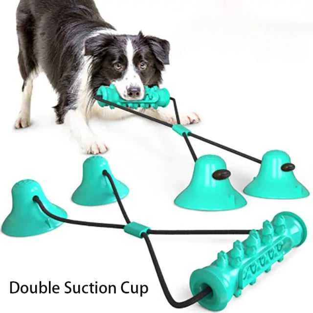 Chew Toothbrush Toy