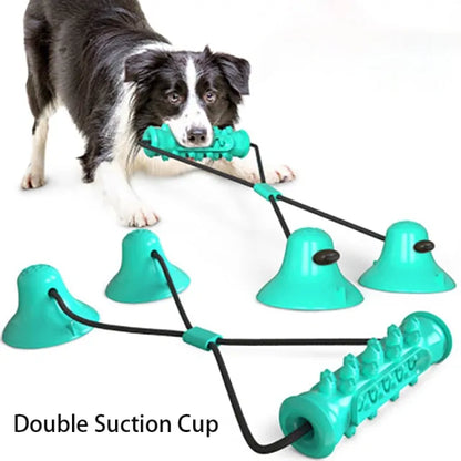 Chew Toothbrush Toy