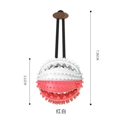 Chew Toothbrush Toy