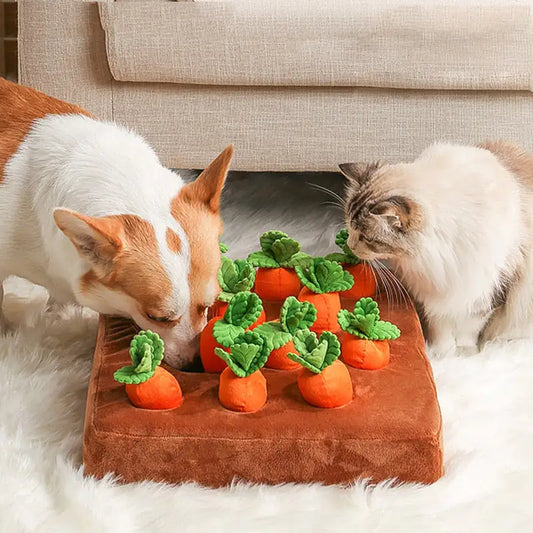 Safe Vegetable Chew Toy