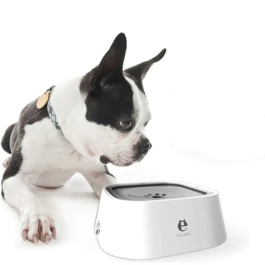 No Spill Cat Feeding Bowl