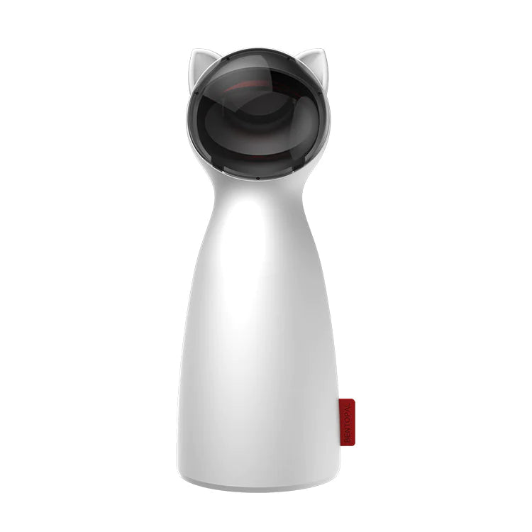 Interactive Laser Toy