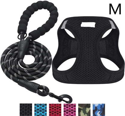 Reflective Leash
