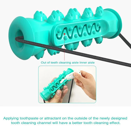 Chew Toothbrush Toy