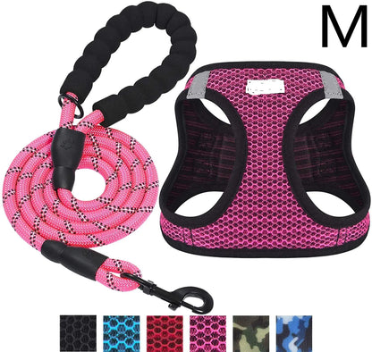 Reflective Leash