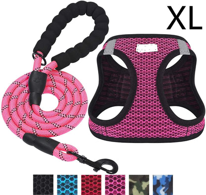 Reflective Leash