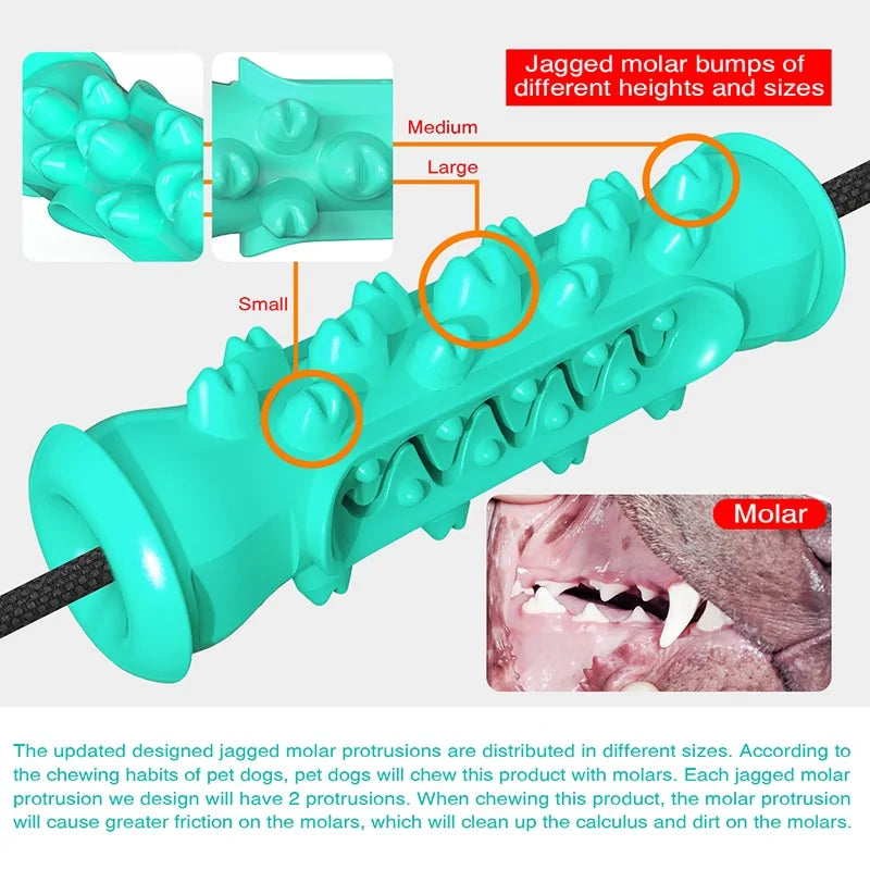Chew Toothbrush Toy