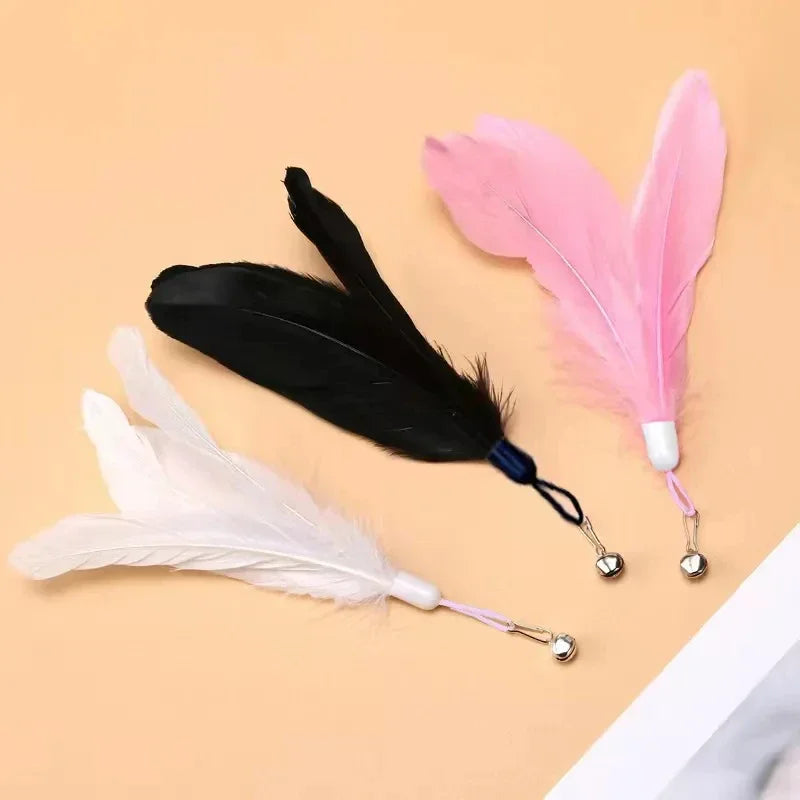 Interactive Teaser Stick Toy