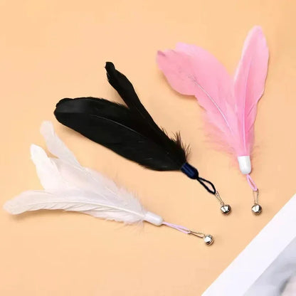 Interactive Teaser Stick Toy