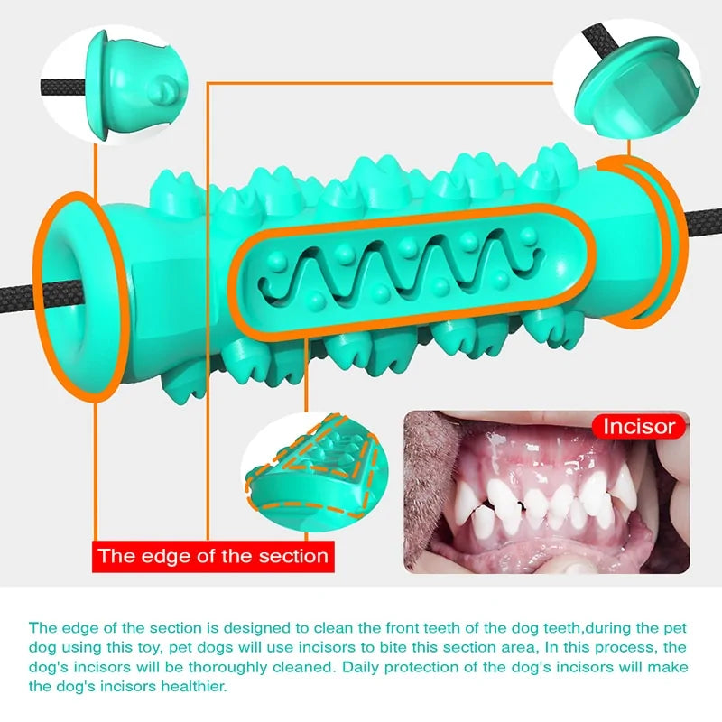 Chew Toothbrush Toy