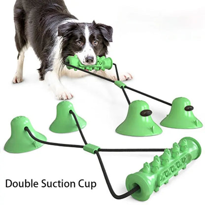Chew Toothbrush Toy
