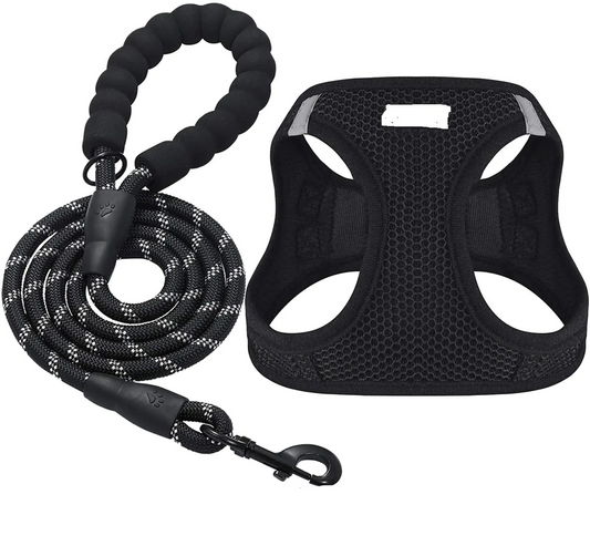 Reflective Leash