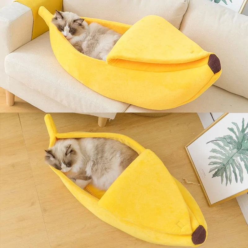 Banana Shaped Bed House