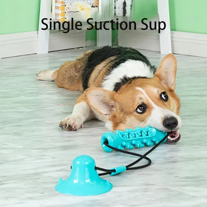 Chew Toothbrush Toy