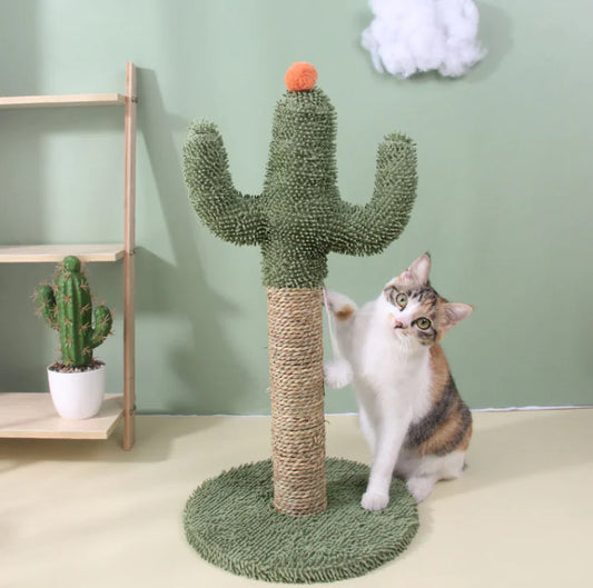 Sisal Cactus Climbing Toy
