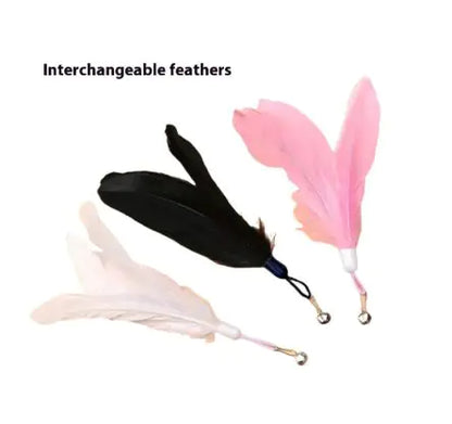 Interactive Teaser Stick Toy
