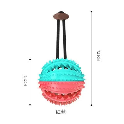 Chew Toothbrush Toy