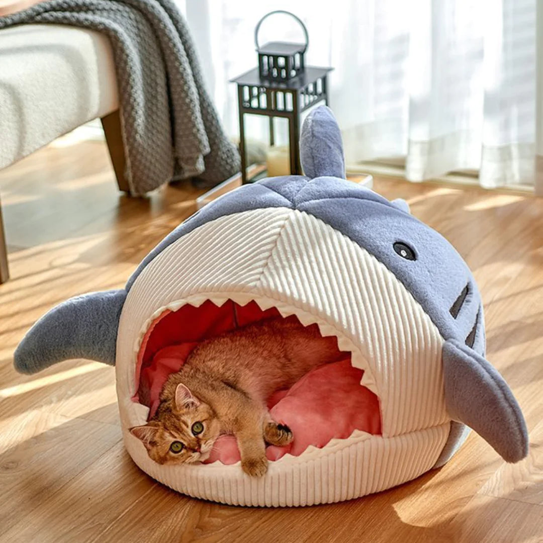 Soft Sleeping House