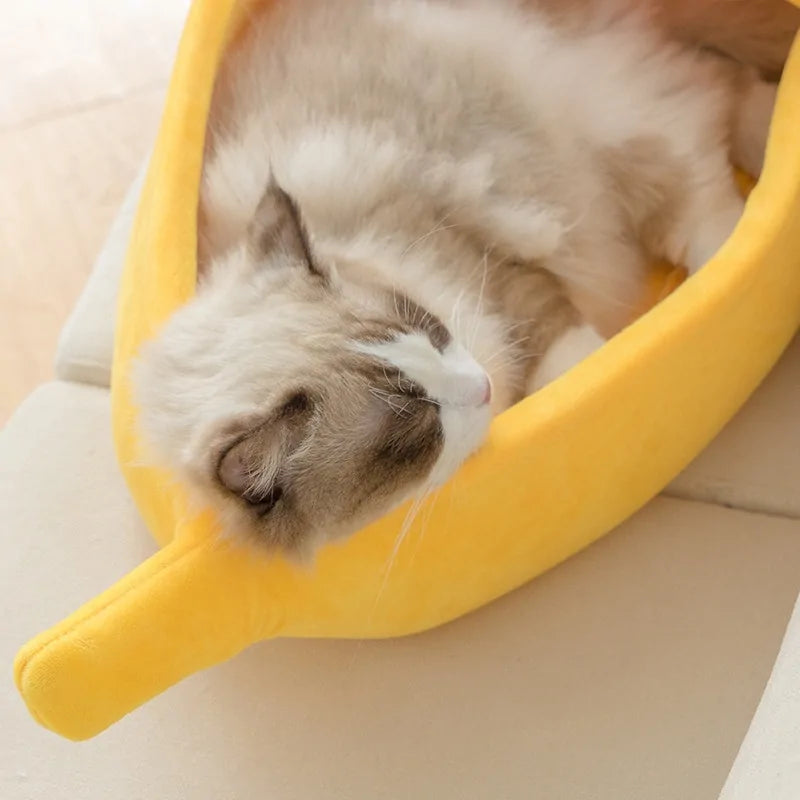 Banana Shaped Bed House