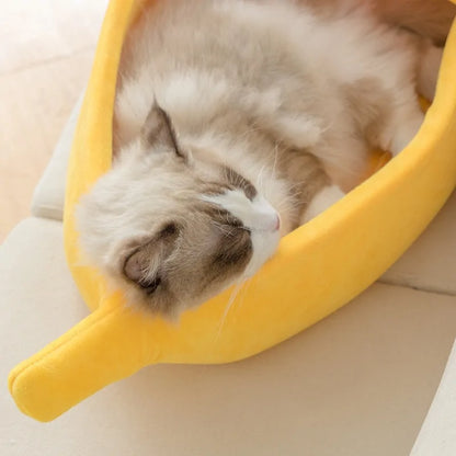 Banana Shaped Bed House