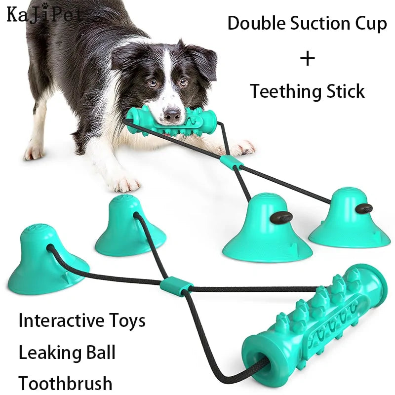 Chew Toothbrush Toy